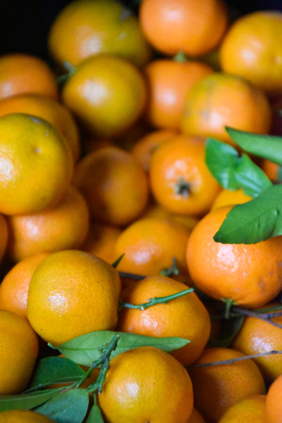 Clementine